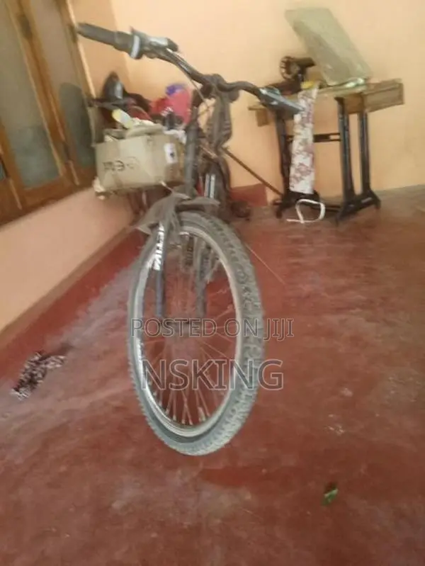 Mountain Bicycle
