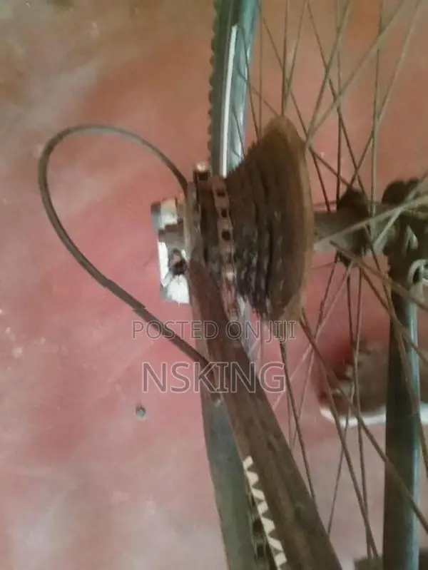 Mountain Bicycle