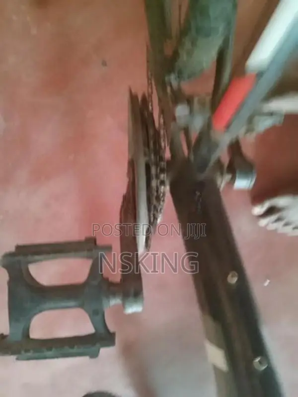Mountain Bicycle
