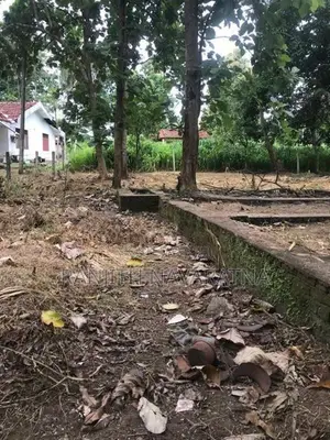 Land for Sale in Kuliyapitiya
