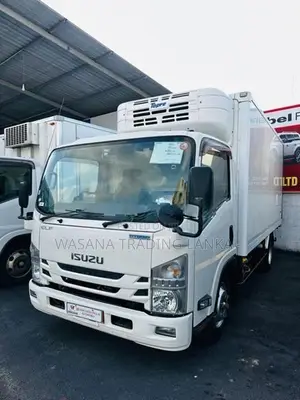 Isuzu Elf Full Body Freezer 2019