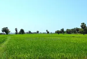வயல் காணி படுவாங்கரை