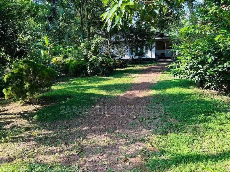 House in Pannipitiya