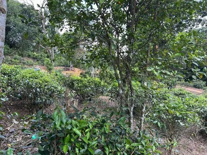 පින් දුව අධිවේගී පිවිසුම අතේ දුරින් පදිංචි වෙන්න..