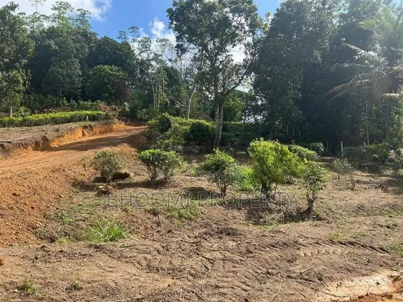 පින් දුව අධිවේගී පිවිසුම අතේ දුරින් පදිංචි වෙන්න..