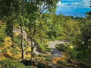 land for sale haputhale idalgashinna