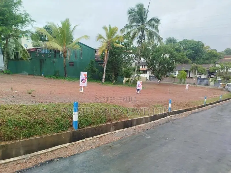 හල්ගහදේණිය පාරෙන් බිම් කොටස් විකිණීමට
