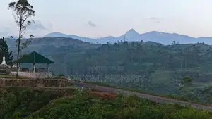 හැටන් වලින් නේවාසික බිම්කොටස්