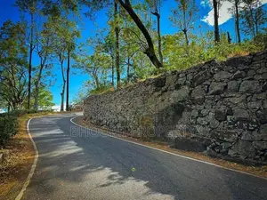 land for sale haputhale idalgashinna