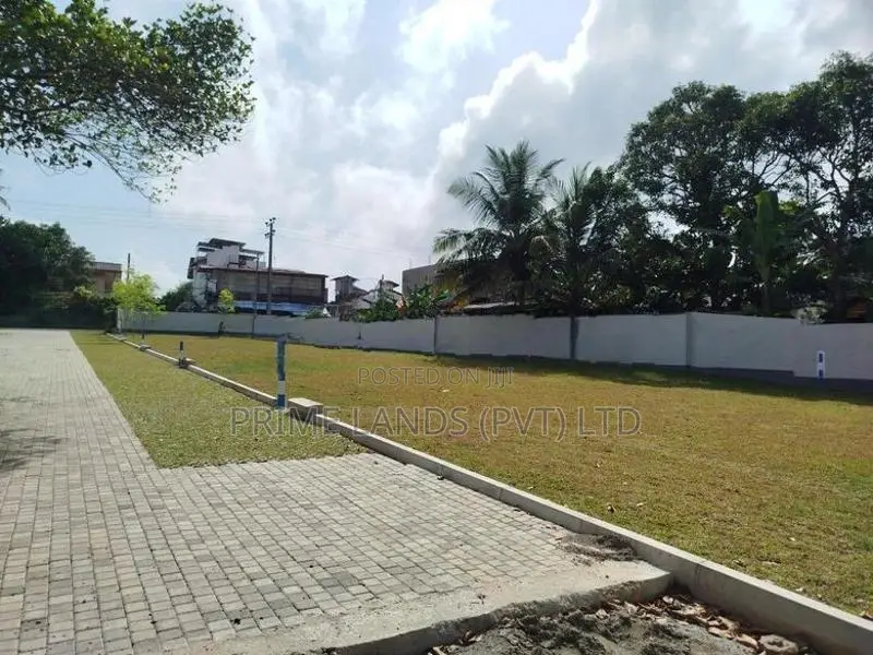 බොරලැස්ගමුව ගංගාරාම පාරෙන් බිම් කොටස් විකිණීමට