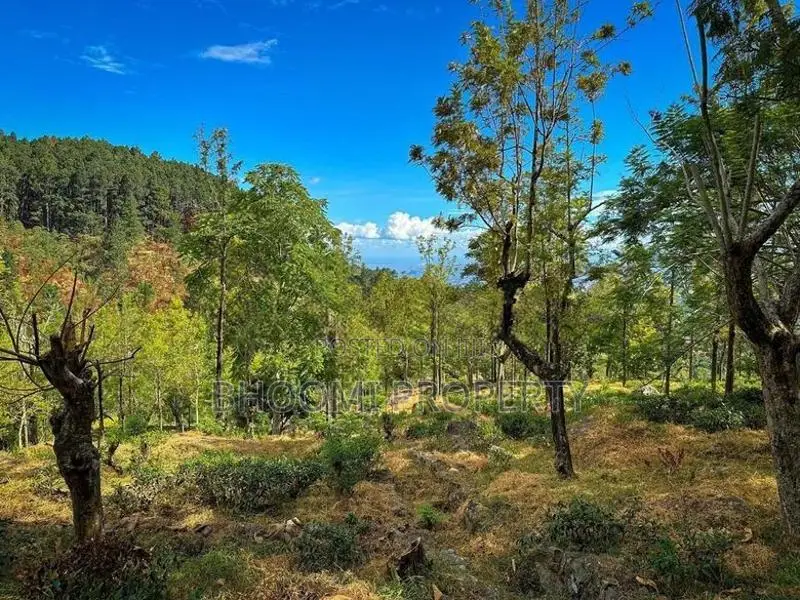 land for sale haputhale idalgashinna