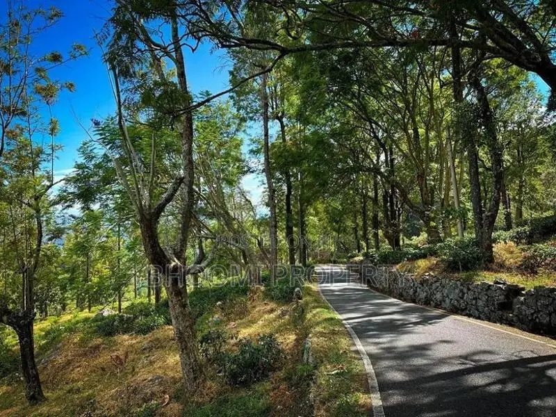 land for sale haputhale idalgashinna
