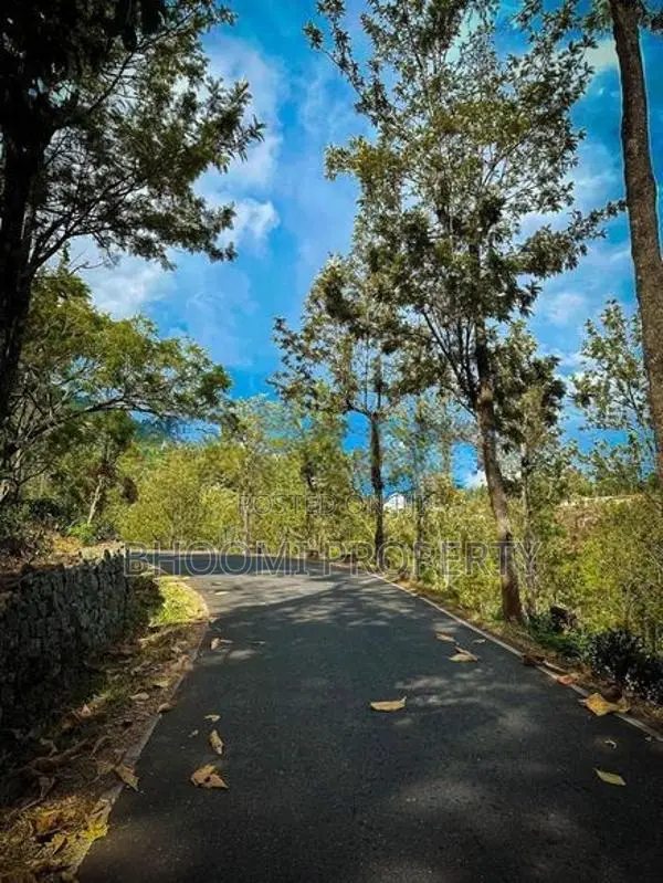 land for sale haputhale idalgashinna