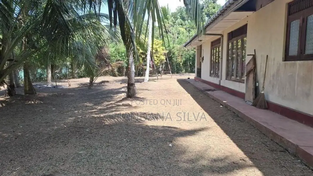 Massive Land With a House පානදුර