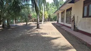 Massive Land With a House පානදුර