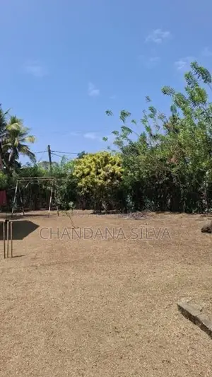 Massive Land With a House පානදුර