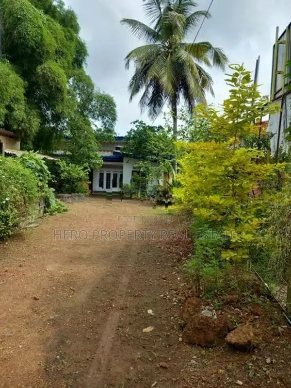 Commercial or Residence House for Rent with Land in Kottawa