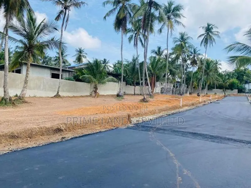 කඳාන රිලවුල්ල, ආරක්ෂිත අනාගතයකට වටිනා බිම් කොටස්