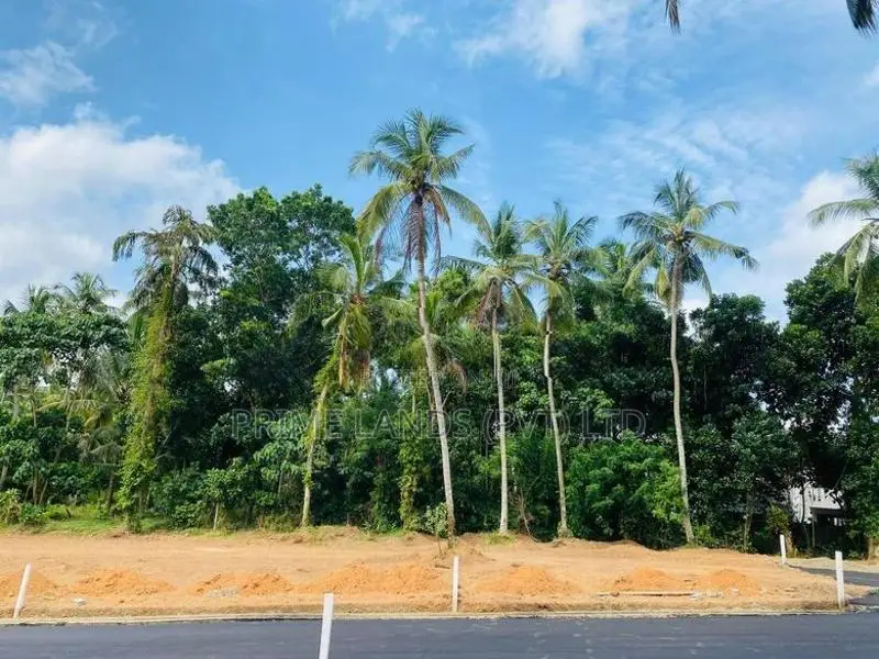කඳාන රිලවුල්ල, ආරක්ෂිත අනාගතයකට වටිනා බිම් කොටස්