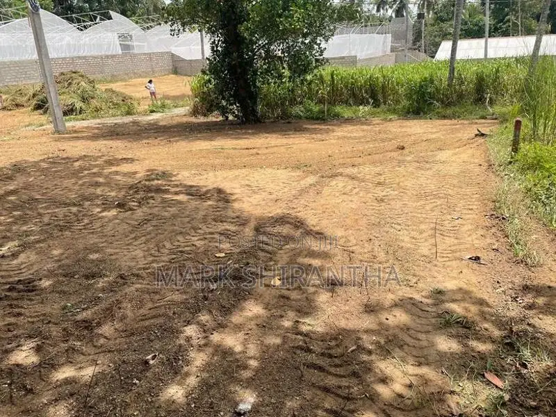 Prime Residential Land for Sale- Gampaha