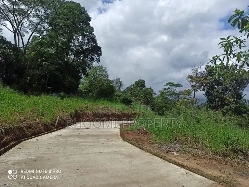 Land Plots For Sale In Panideniya