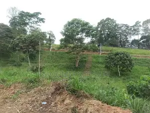 Land Plots For Sale In Panideniya