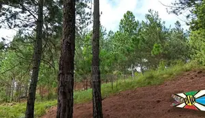High Demand Area Ella Land For Sale