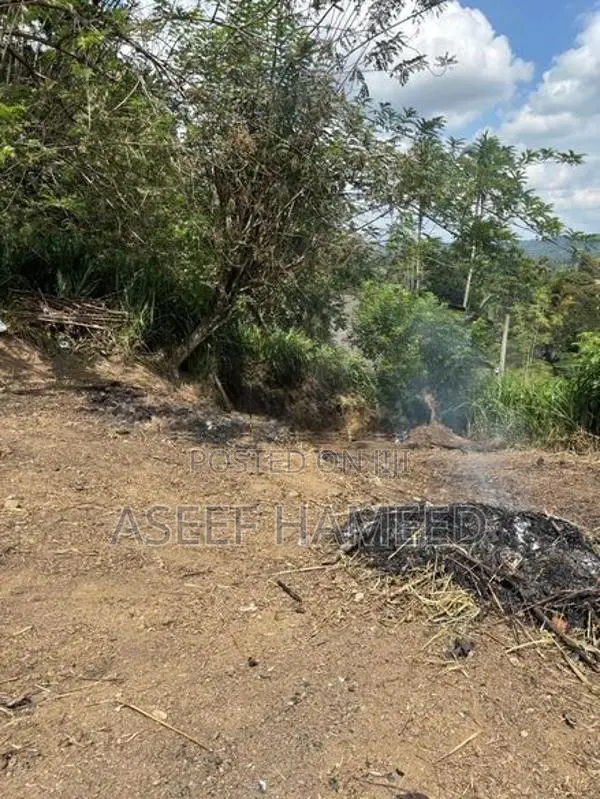 Land for Sale in Mawilmada, Kandy