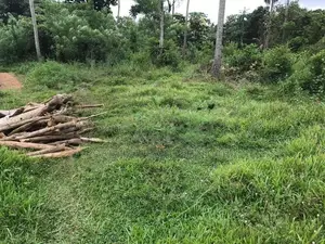 Agricultural Land for Sale at Pannala