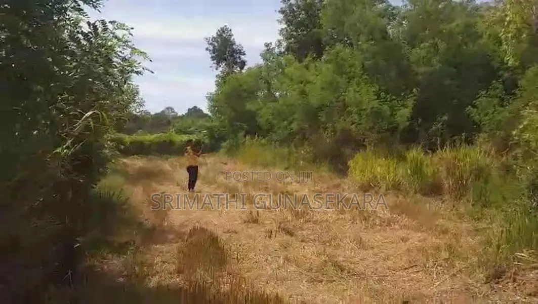 ඉඩමක් විකිණීමට - වෑබඩගම
