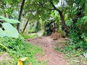 අහංගම කන්දේ පිහිටි සුවිශේෂී ඉඩමක් විකිණීමට