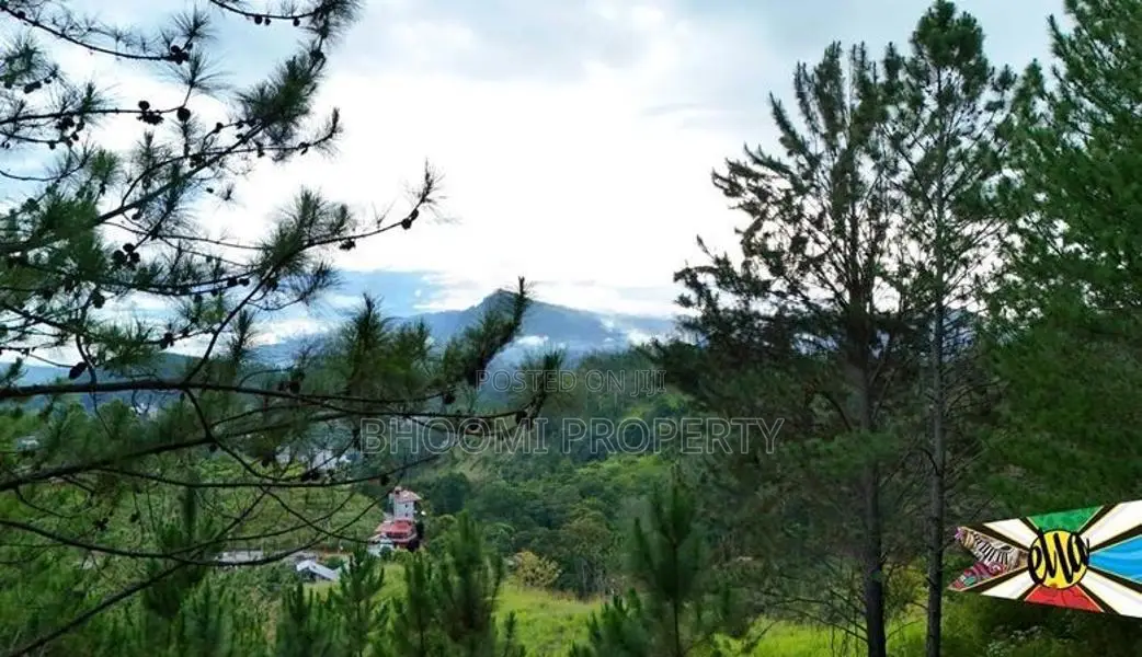 High Demand Area Ella Land For Sale