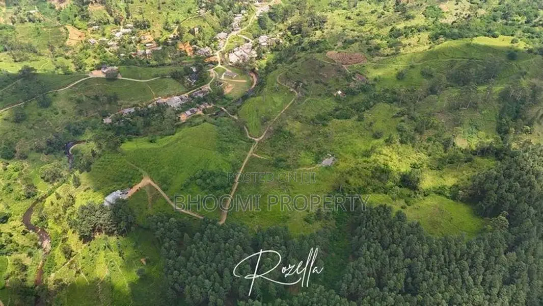 Beautiful Houses For Sale In Rozella