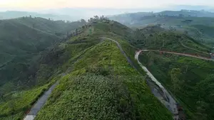 හැටන් වටවලින් බිම් කොටස් කිහිපයක්