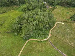 ඉමදූව නගරයෙන් අගනා බිම් කොටසක්