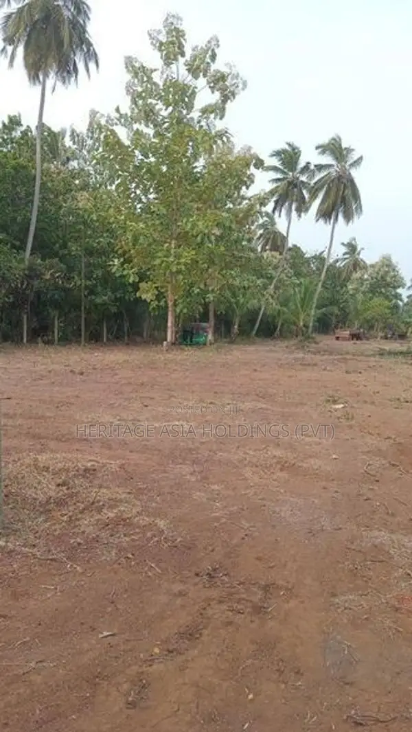 අනුරාධපුරයෙන් ඉඩමක්