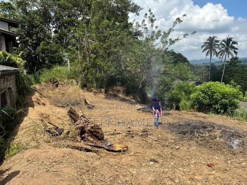 Land for Sale in Mawilmada, Kandy