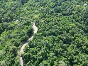 ඇල්ල නගරයෙන් අගනා බිම් කොටසක්