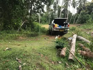 Agricultural Land for Sale at Pannala