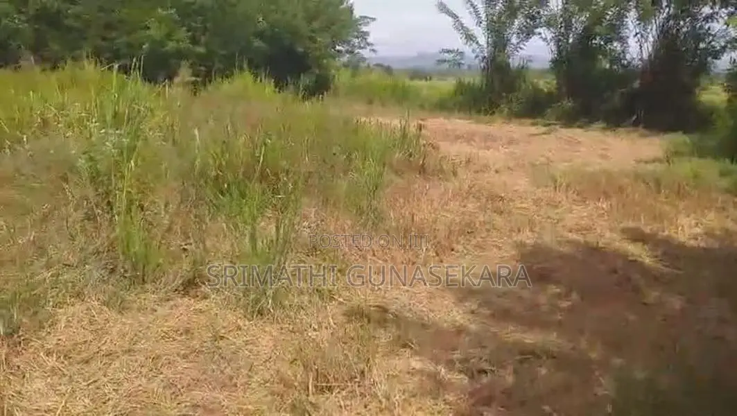 ඉඩමක් විකිණීමට - වෑබඩගම