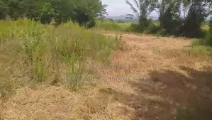 ඉඩමක් විකිණීමට - වෑබඩගම