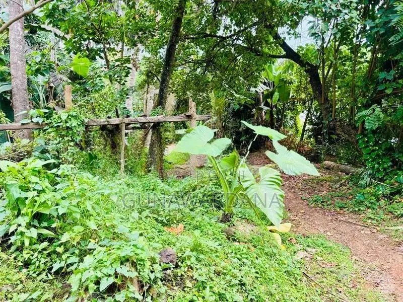 අහංගම කන්දේ පිහිටි සුවිශේෂී ඉඩමක් විකිණීමට