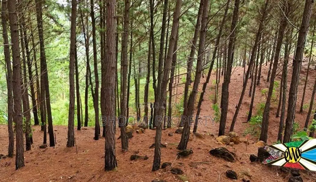 High Demand Area Ella Land For Sale