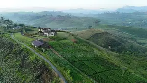 හැටන් වටවලින් බිම් කොටස් කිහිපයක්