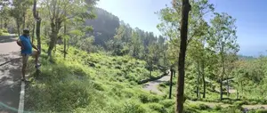 Land For Sale In Haputhale Idalgashinna