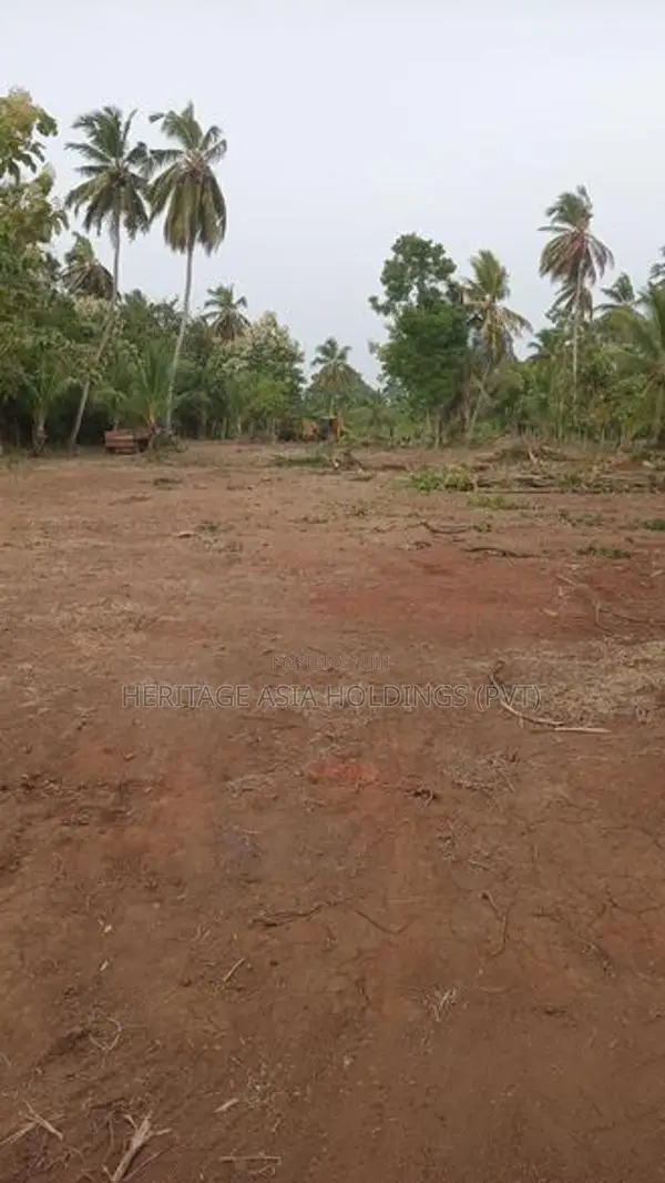 අනුරාධපුරයෙන් ඉඩමක්