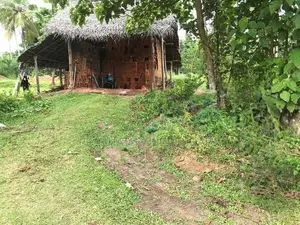Agricultural Land for Sale at Pannala