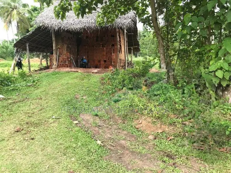 Agricultural Land for Sale at Pannala