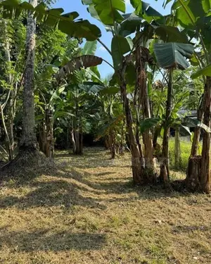 12P Residential Land for Sale in Pothuarawa Road, Malabe