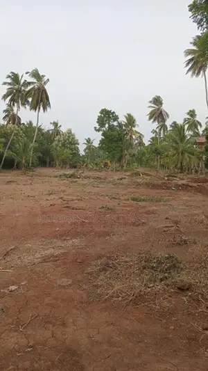 අනුරාධපුරයෙන් ඉඩමක්